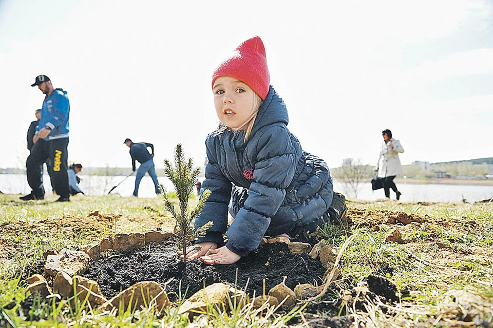 В честь рождения ребенка московские семьи могут высадить дерево.