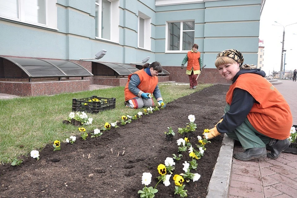 Школьники с охотой идут работать над озеленением города.