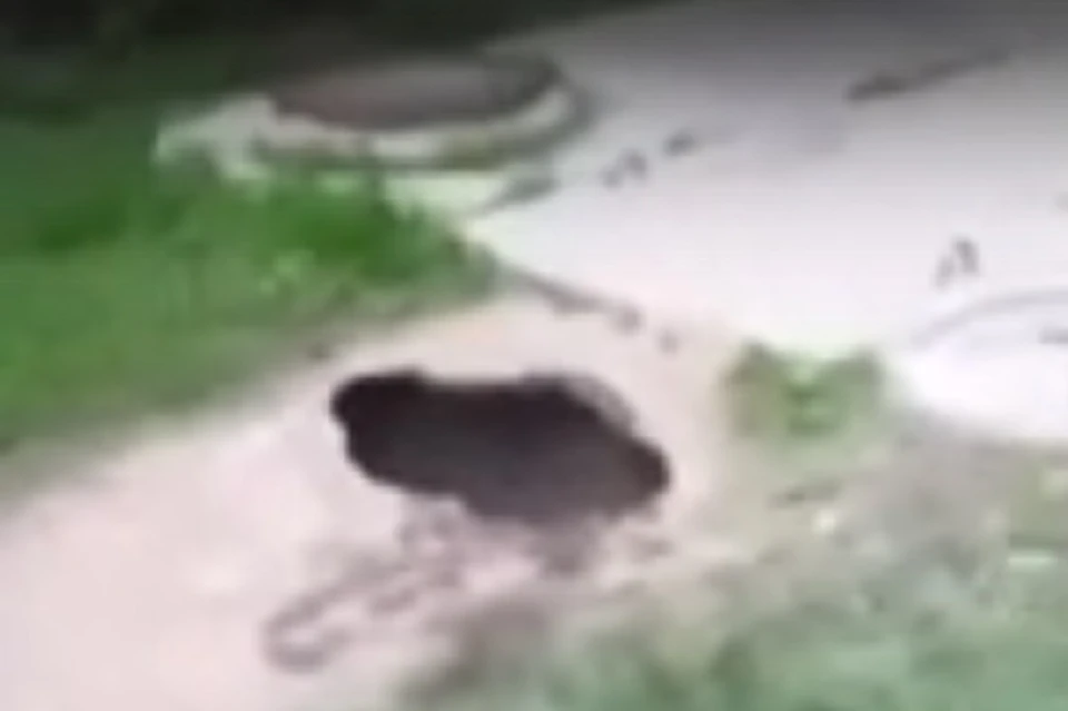 Петербуржец провалился по шею в яму с водой Фото: Скрин с видео
