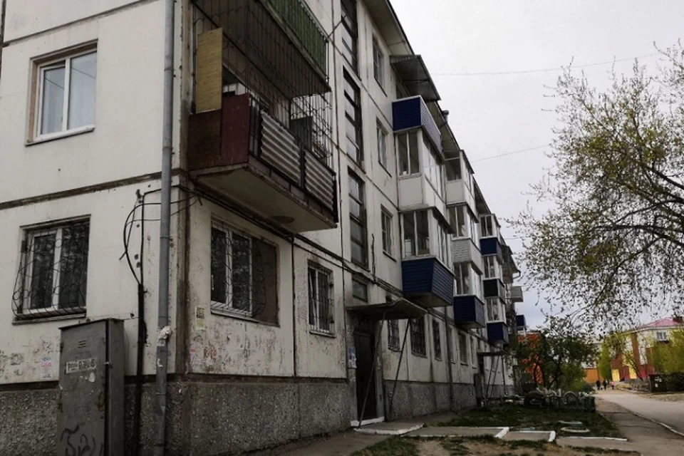 Выбросила щенка с четвертого этажа: жестокой пенсионерке из Иркутской области грозит до 5 лет колонии.