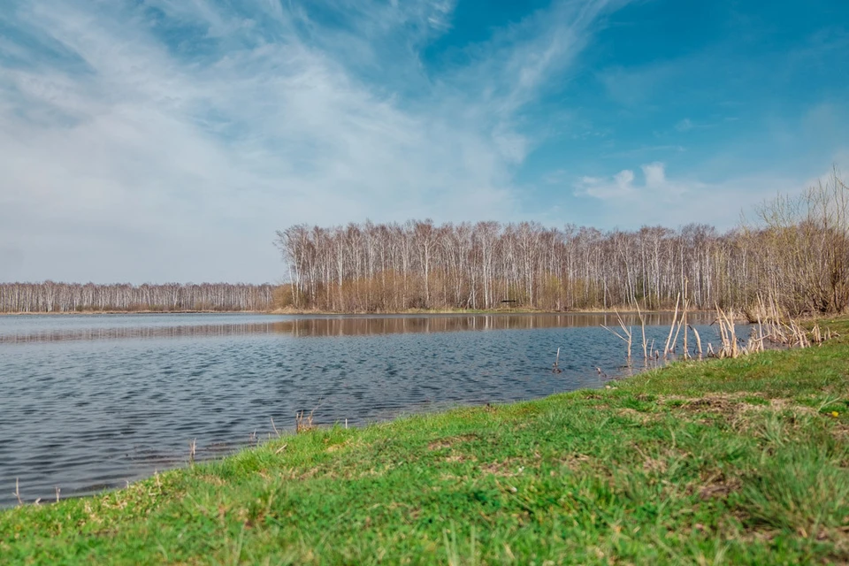 Купить озеро новосибирск. Озеро Старица. Озеро Старица Новосибирская область. Озеро Старица Новосибирск фото. Озеро надежды.