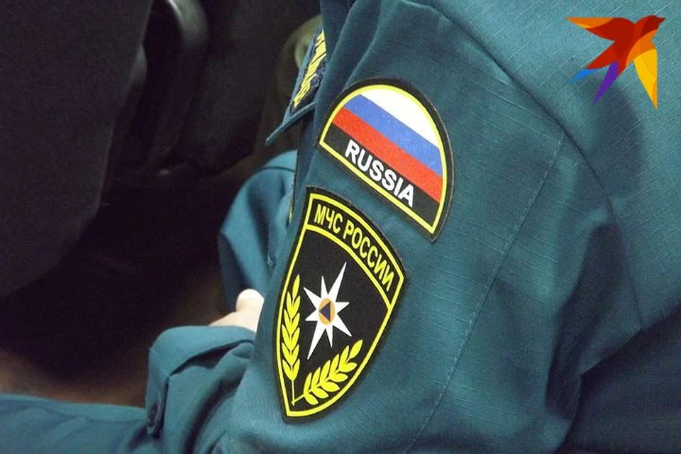 Сотрудники МЧС отчитались о доходах
