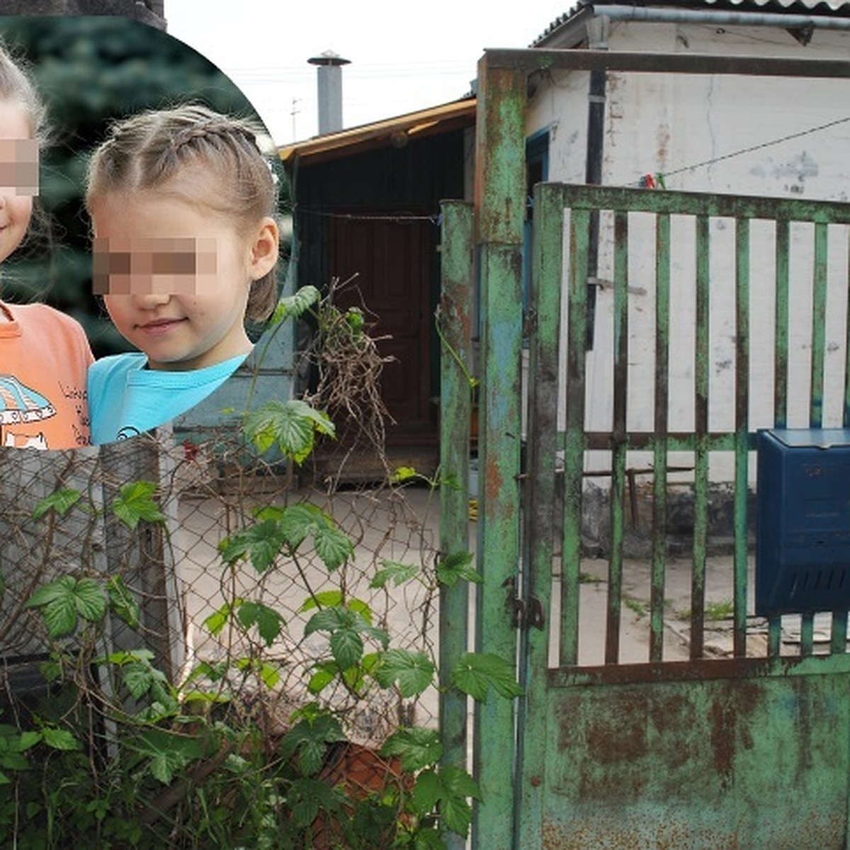 В Батайске девочек-маугли, живших 8 лет в плену у пьяной матери, забрали в  приемную семью - KP.RU