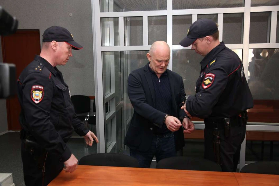 Владимира Нелюбина взяли под арест сразу в зале суда.