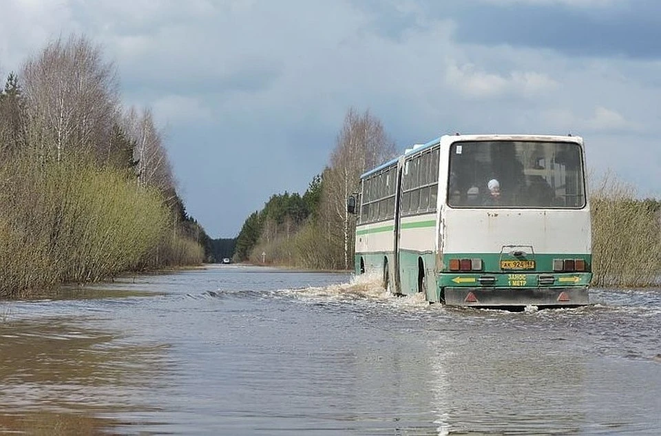 Местные жители не боялись каждый день ездить по затопленной дороге