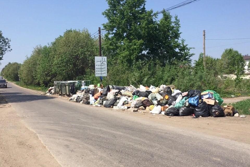 Свалки мусора убирают после жалоб нижегородцев в соцсетях