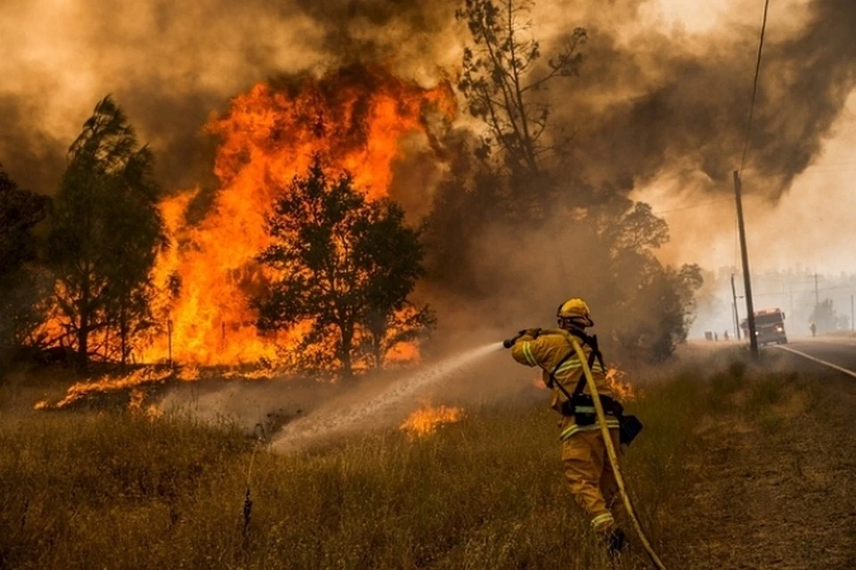 С начала сезона в лесах Карелии зарегистрировано 6 лесных пожаров на общей площади 20,4 га [снимок носит иллюстративный характер].