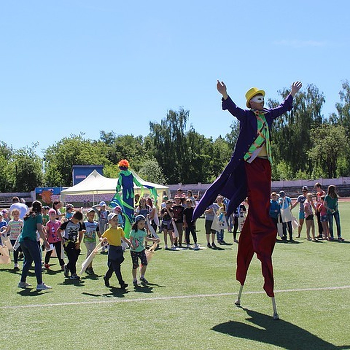 В Александрове прошел первый экологический фестиваль «GREEN FEST. ЭкоЛайн»  - KP.RU