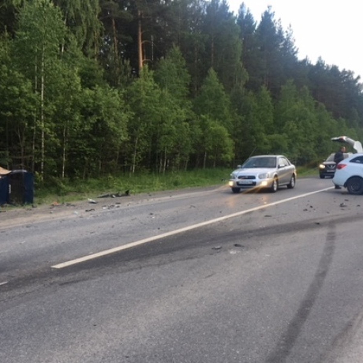 Один погибший, семеро пострадавших: под Режом «Kia» на полном ходу  протаранила «Оку» - KP.RU