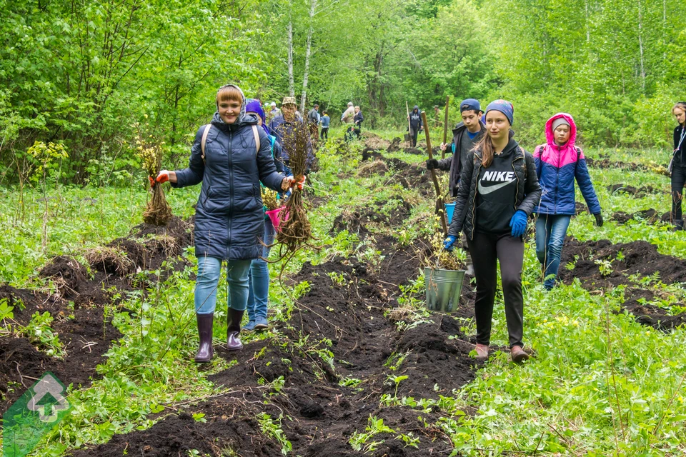 Волонтеры движения ЭКА начинали с акций по посадке леса - а создали организацию, которая занимается экологическим просвещением и меняет сознание людей