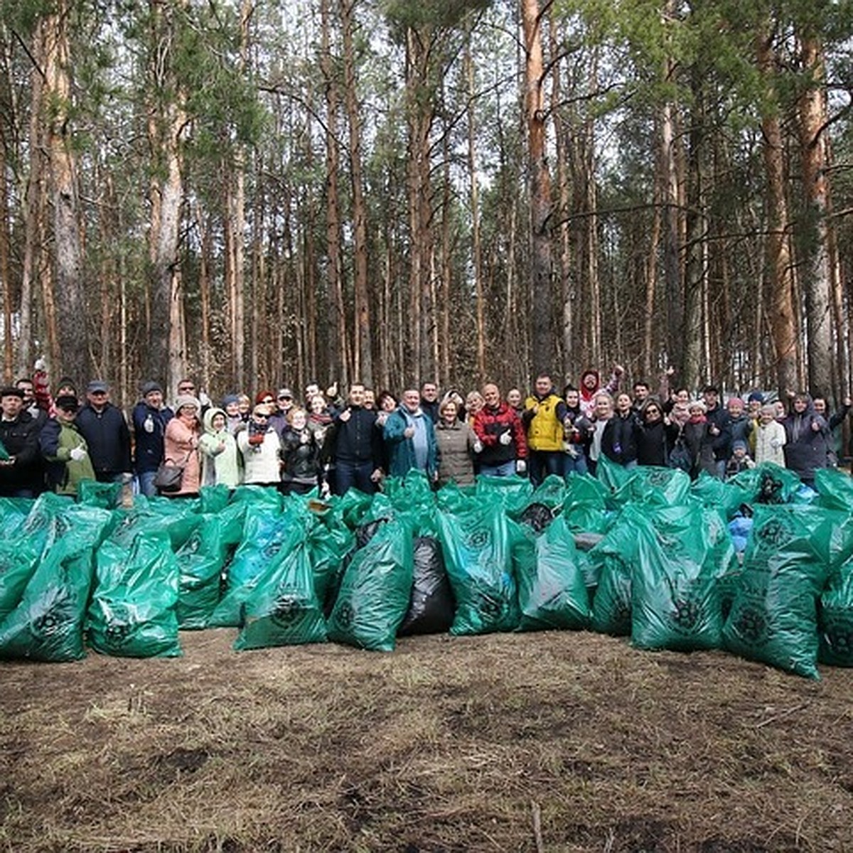 Как организовать уборку мусора в лесу в Тверской области своими силами -  KP.RU