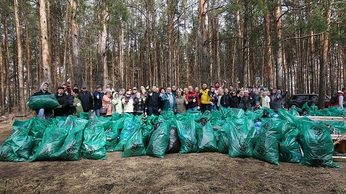 Как организовать уборку мусора в лесу в Тверской области своими силами -  KP.RU