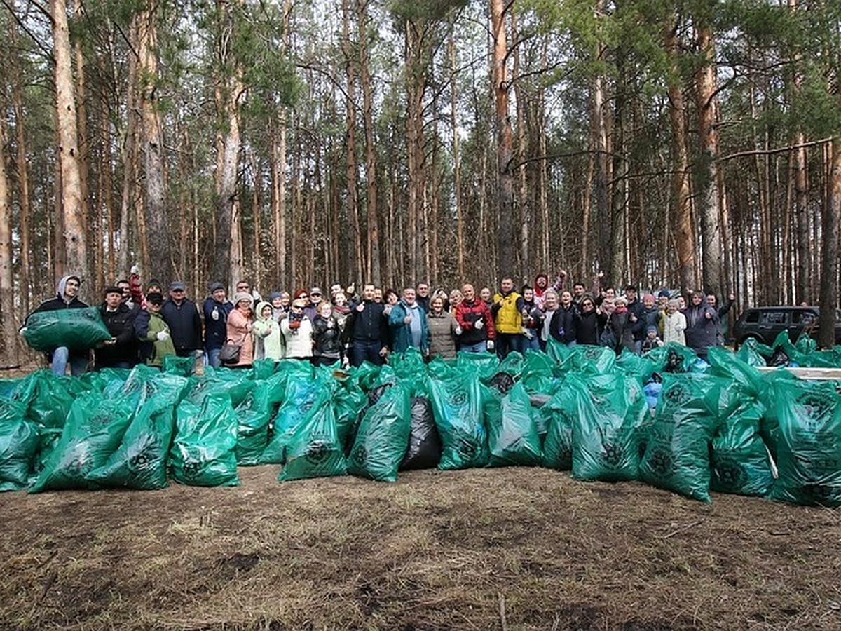 Как организовать уборку мусора в лесу в Тверской области своими силами -  KP.RU