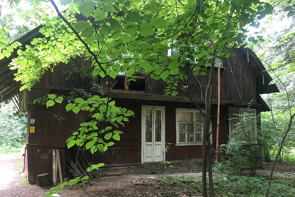 Деревянному дому в Тимирязевском лесу исполнилось 90.
