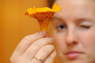 Лисички стали одним из самых любимых грибов на столе россиян, хотя еще 150 лет назад на них не обращали особого внимания.
