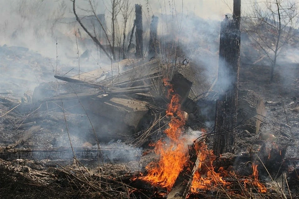 Лесные пожары в Иркутской области: за две недели потушено 124 точки