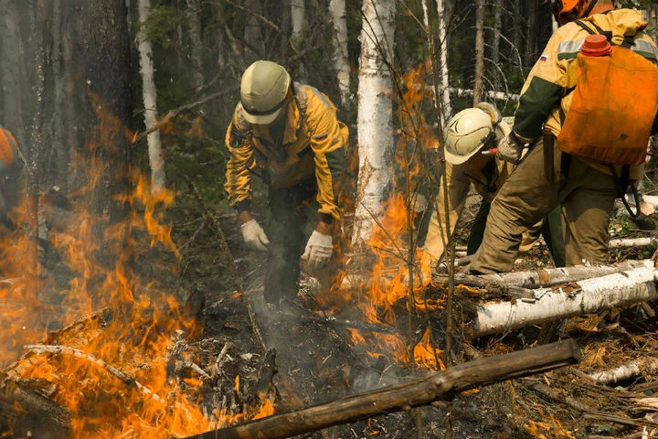 Лесные пожары в Сибири: как десантники тушат тайгу: Фото: пресс-служба Авиалесоохраны