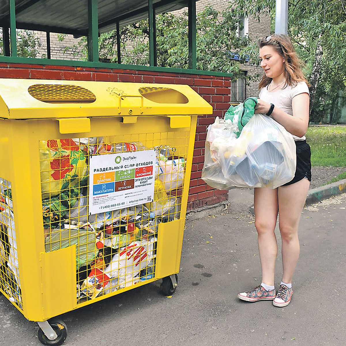 Бутылки отдельно, котлеты отдельно: как москвичи будут сортировать мусор в  своих квартирах - KP.RU