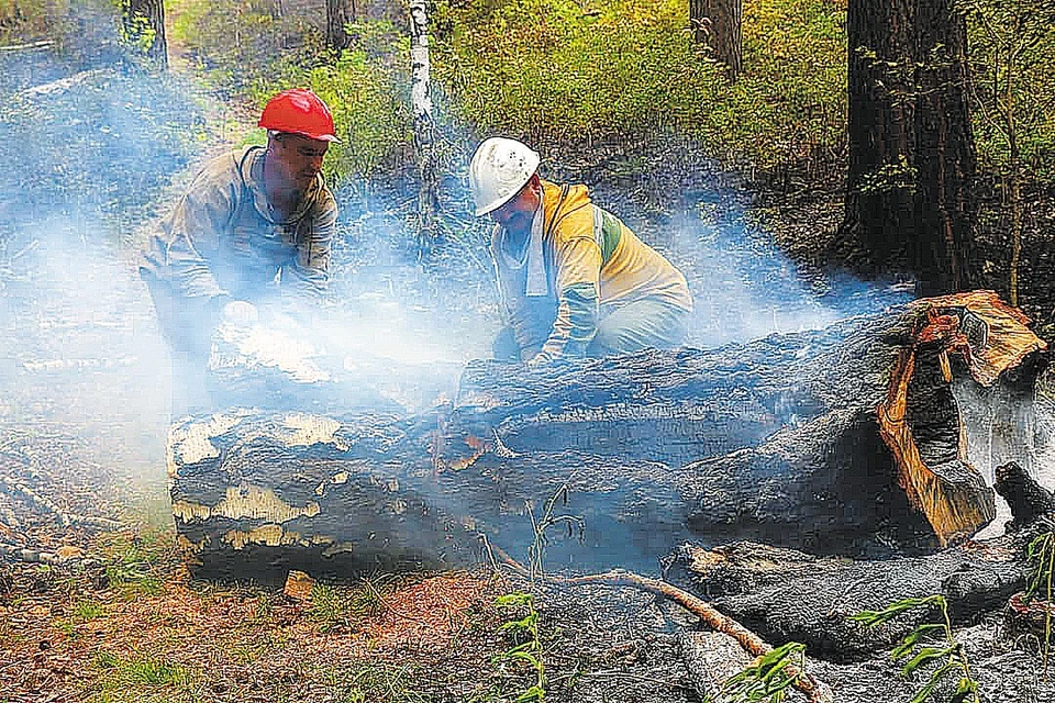 Площадь лесных пожаров в Красноярском крае достигла 1 миллиона 115 тысяч гектаров. Фото: Лесопожарный центр