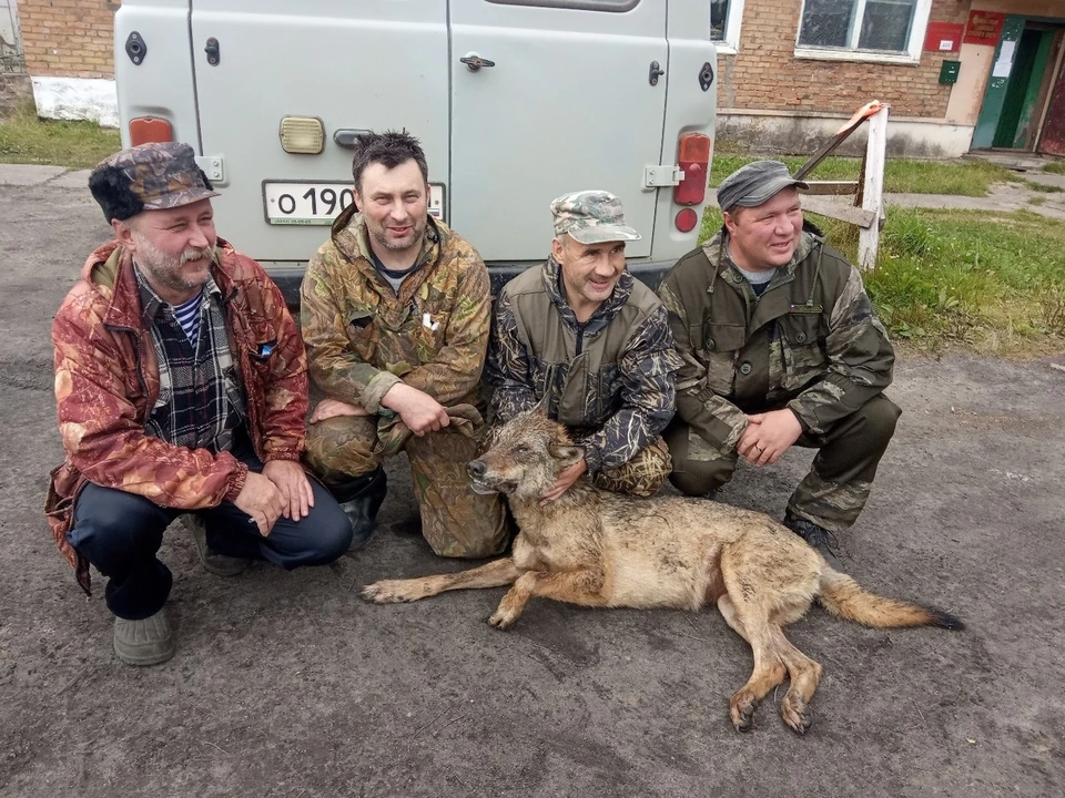 Фото: Надежда Зубкова-Дидух