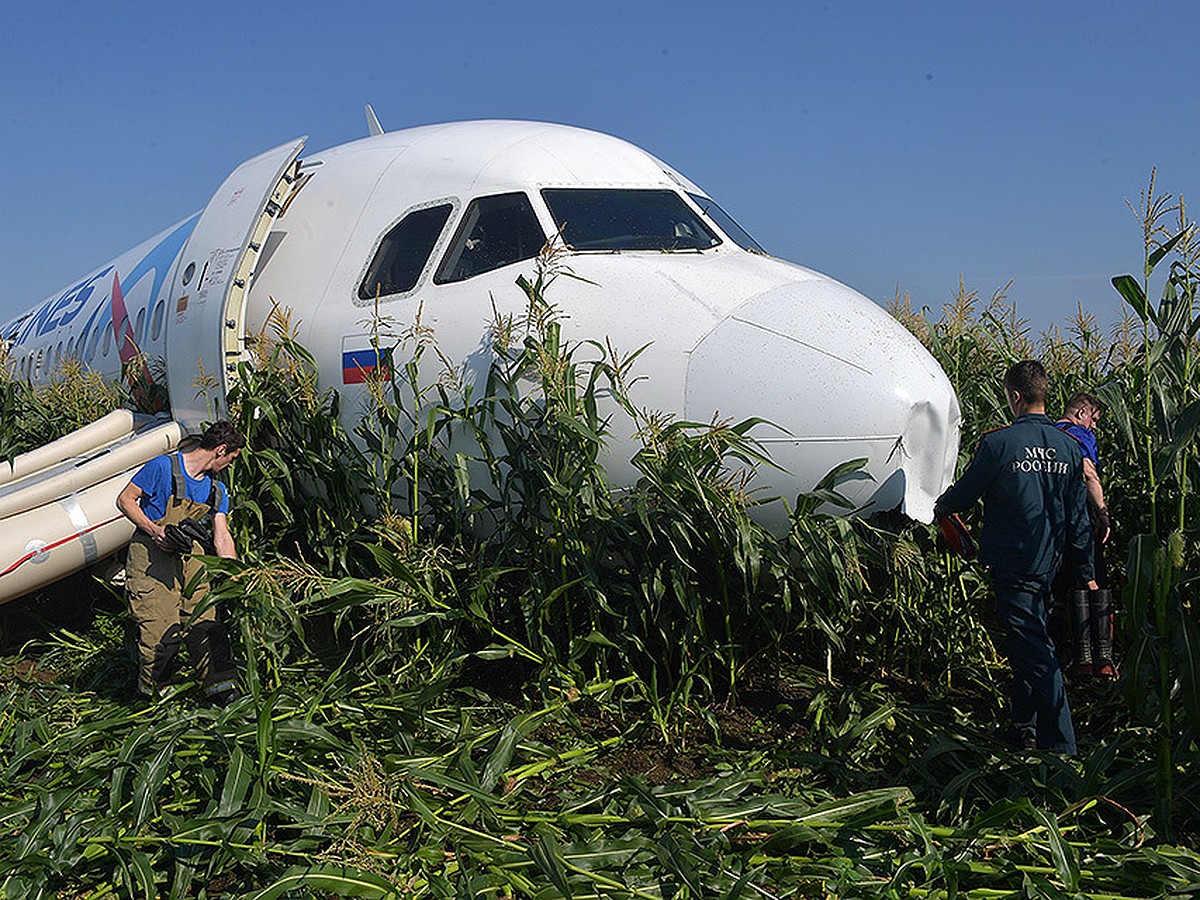 Пассажиры А321, севшего в Подмосковье: «Земля в кукурузном поле была мокрой  - и мы просто скользили по ней» - KP.RU