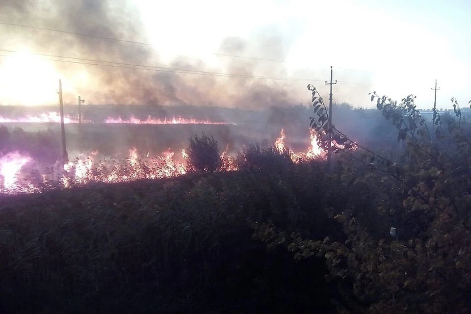Угрозы распространения пожара на населенные пункты нет. Фото: пресс-служба МЧС России