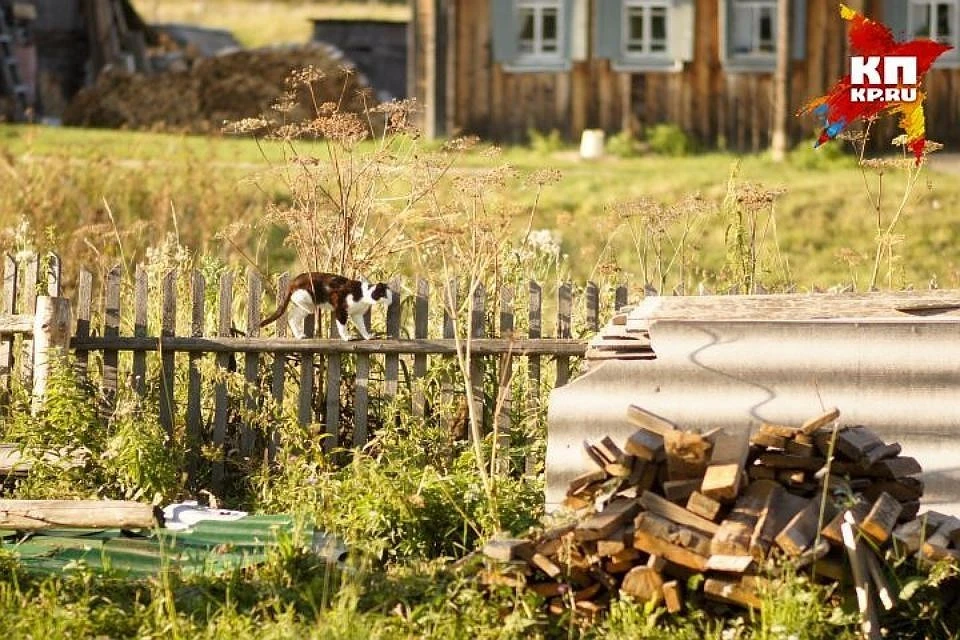 Сокольский депутат подозревается в незаконной продаже земли в родном районе.