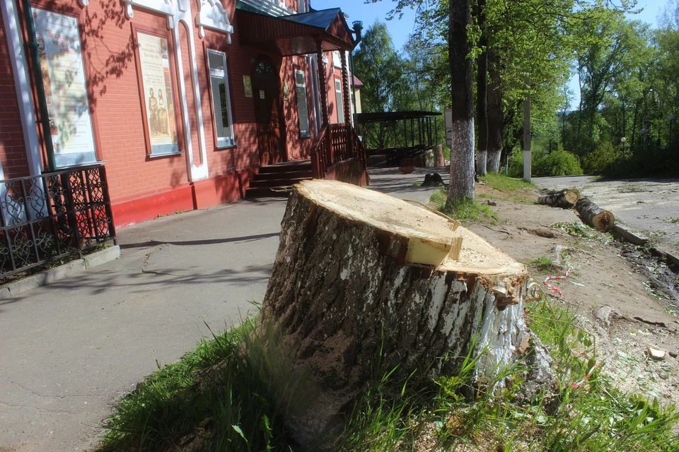 В столице Коми появятся
