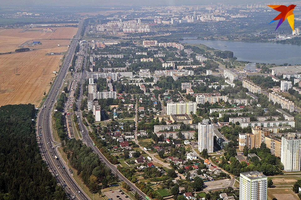 «Клопий бум!» В Беларуси нашествие кровососущих, особенно в Минске и Гомеле.