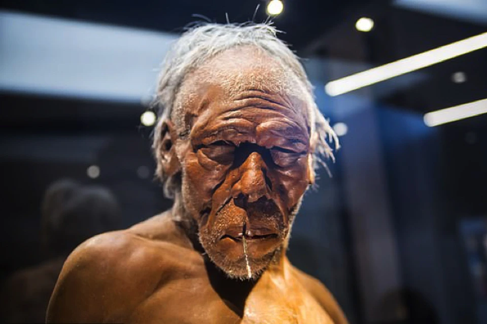 К 50 годам почти все неандертальцы становились калеками. Если не умирали раньше.