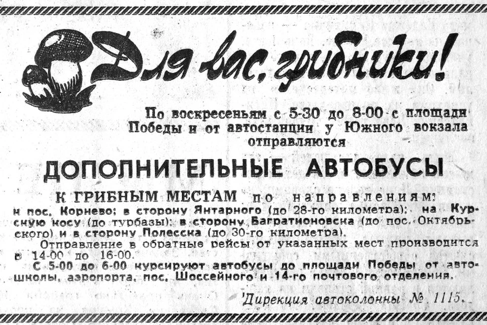 Такое объявление вышло на страницах "Калининградской правды".