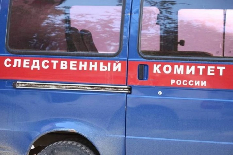 Обвиняемая также привлекла своего родственника.