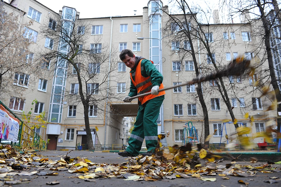 Многих минчан волнует вопрос: должны ли убираться листья во дворах?