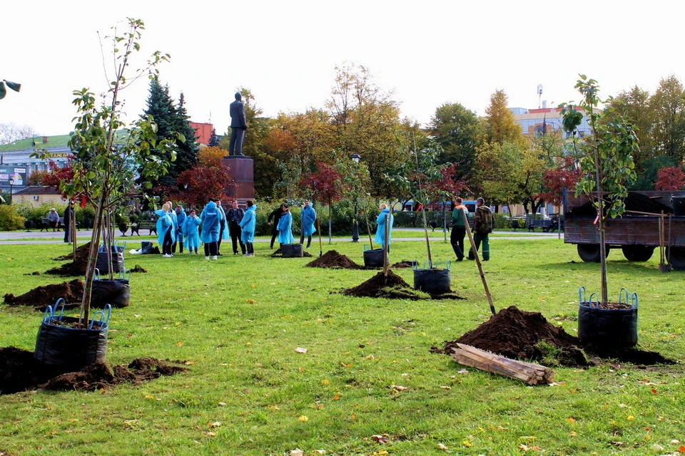 У памятника Калинину сажают яблони. Фото: пресс-служба администрация Твери