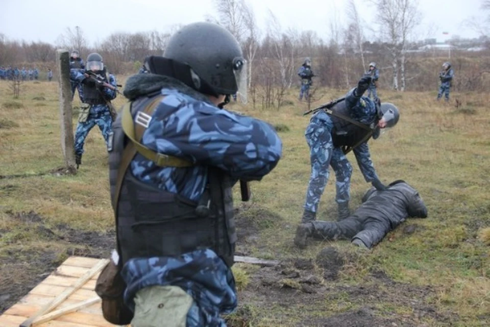 Операции по задержанию вооруженных преступников. Задержание на открытой местности. Задержание преступника в лесу. Тактика задержания правонарушителей. Спецназ ловит преступников.