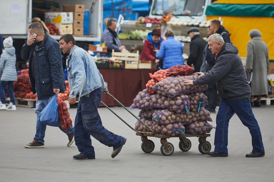 Одни говорят, что нет смысла закупаться овощами впрок, а другие уверены - это позволяет экономить
