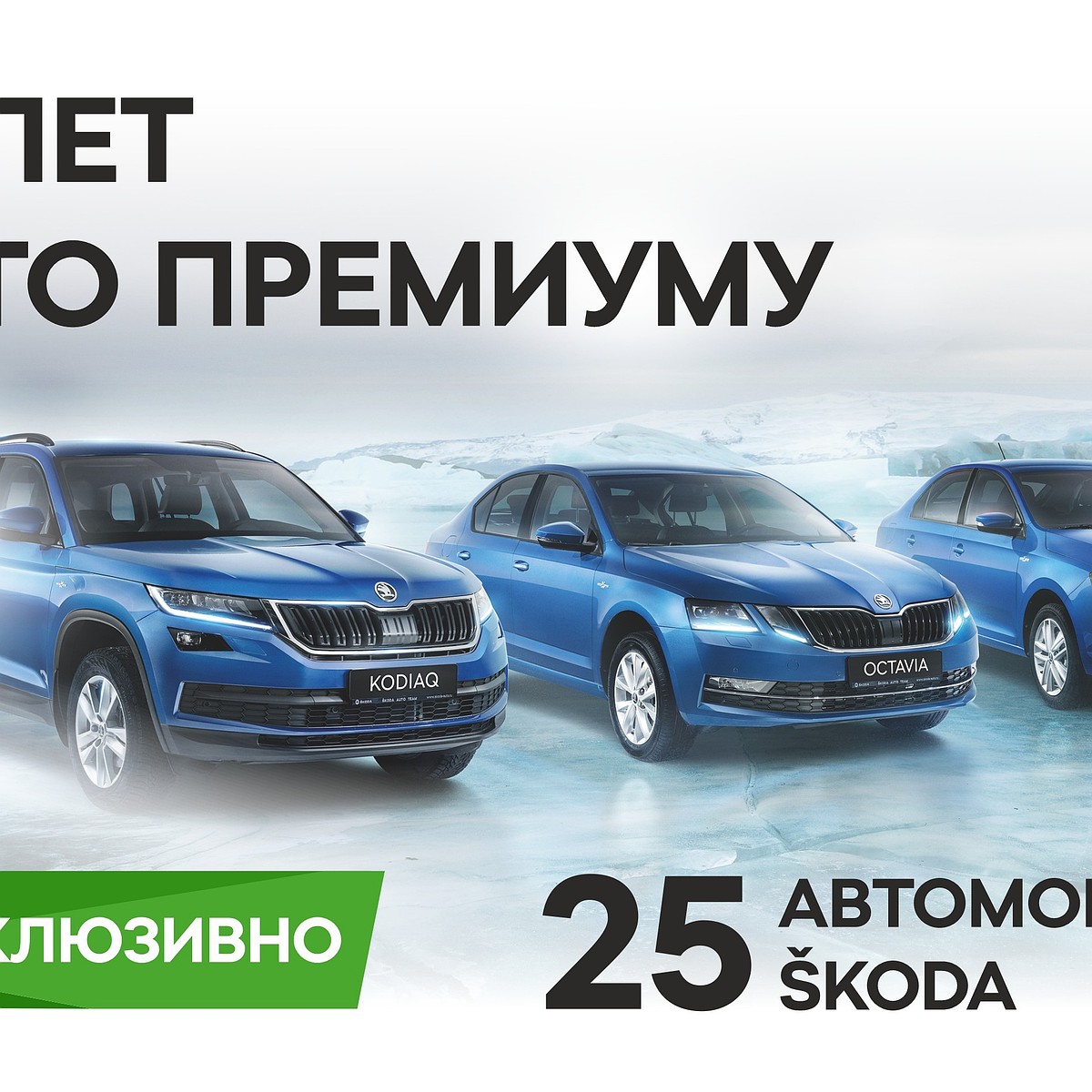 SKODA в Петербурге – 25 лет с Авто Премиумом - KP.RU