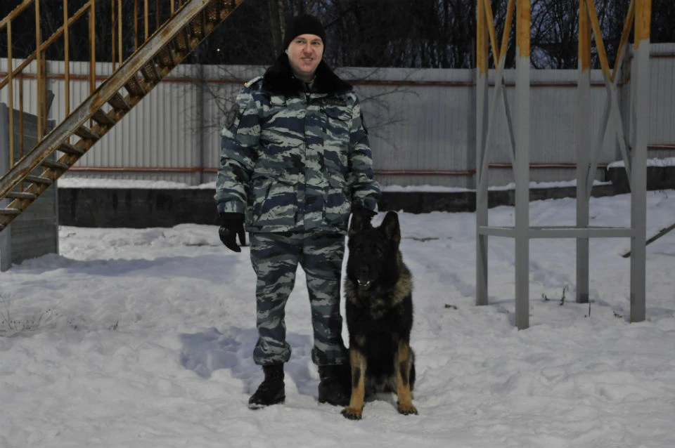 Максима Соколова Ярл любит фанатично и даже ревнует к другим собакам.