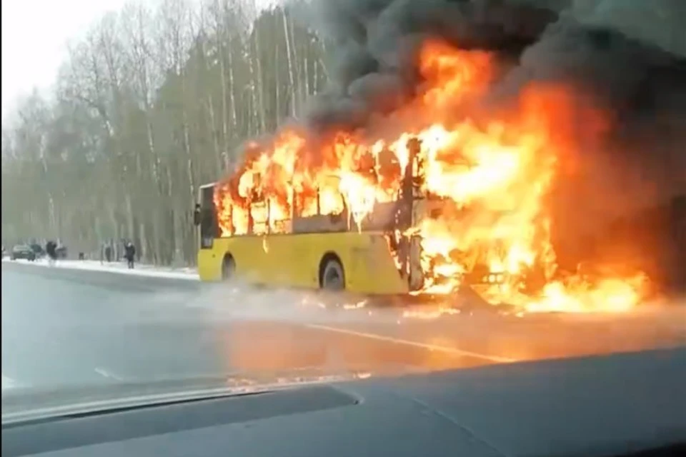 В Петербурге водитель вывел пассажиров из загоревшегося автобуса. Фото: скриншот видео.