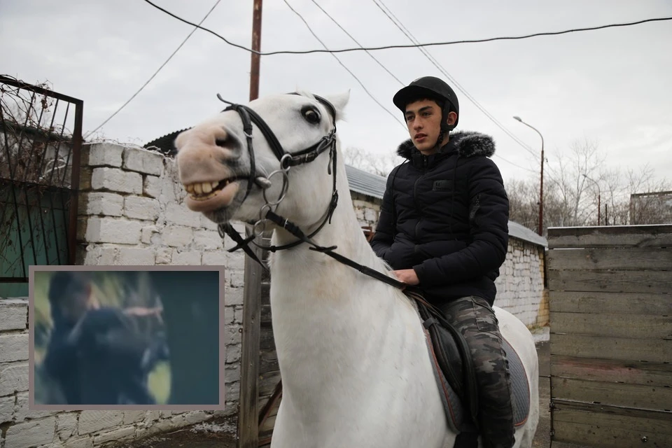 Тимур на конной прогулке, организованной СКР по Ставрополью