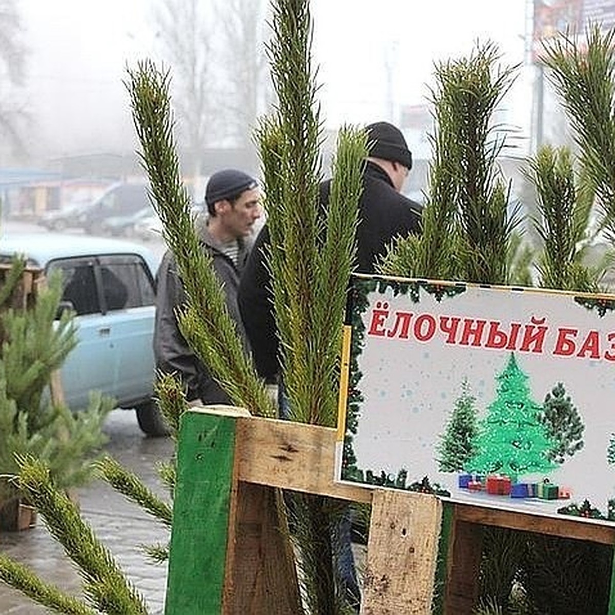 Елочные базары 2019 в Донецке: список мест, где можно купить елку на Новый  год 2020 - KP.RU