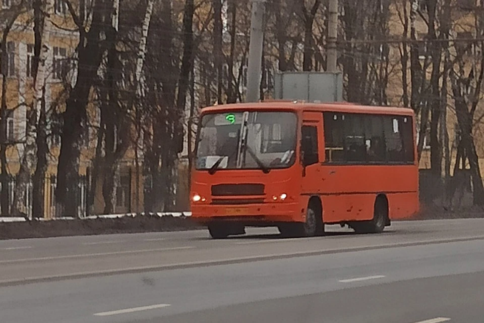 Автобус т 53. 3т автобус Мурманск. Нижний Новгород автобус т-85.