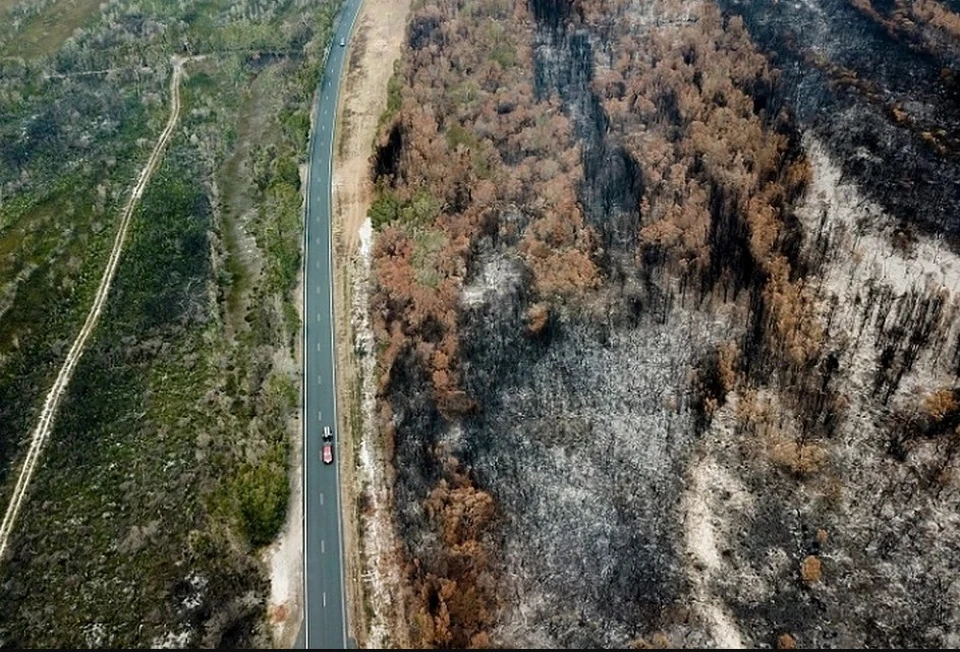 Пожары уничтожают леса и жилые дома