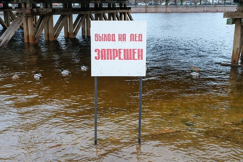 Небольшие морозы придут в Санкт-Петербург только под крещение. Но ждать стабильного крепкого льда не стоит - поэтому традиционное купание в проруби в этом году под большим вопросом.