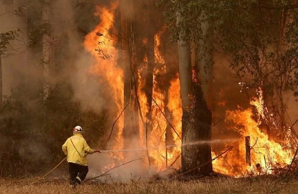 Тушение пожаров с воздуха стало невозможным в некоторых районах Австралии из-за сильного задымления