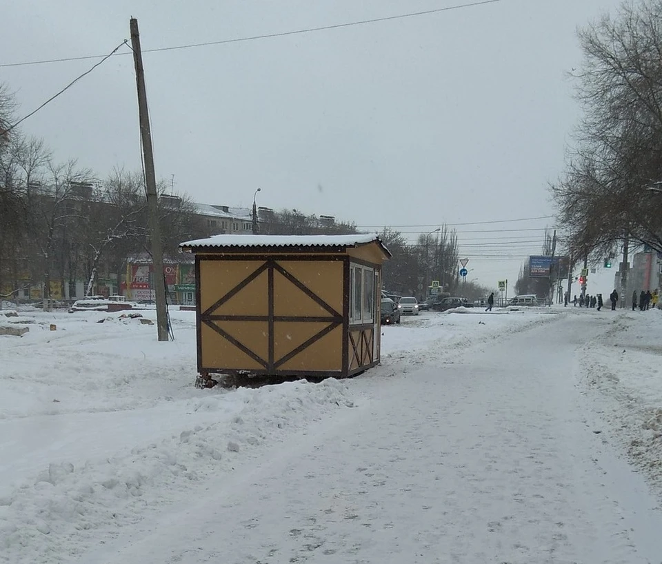 Фото: Татьяна Трофимова