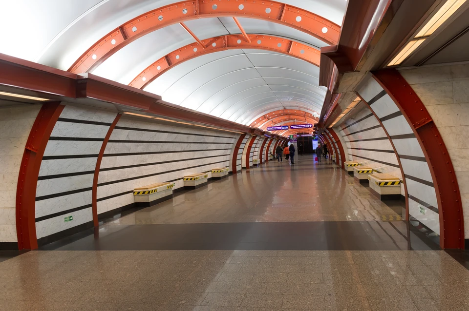 Неонацистов, напавших на антифашиста в метро Петербурга, оштрафовали