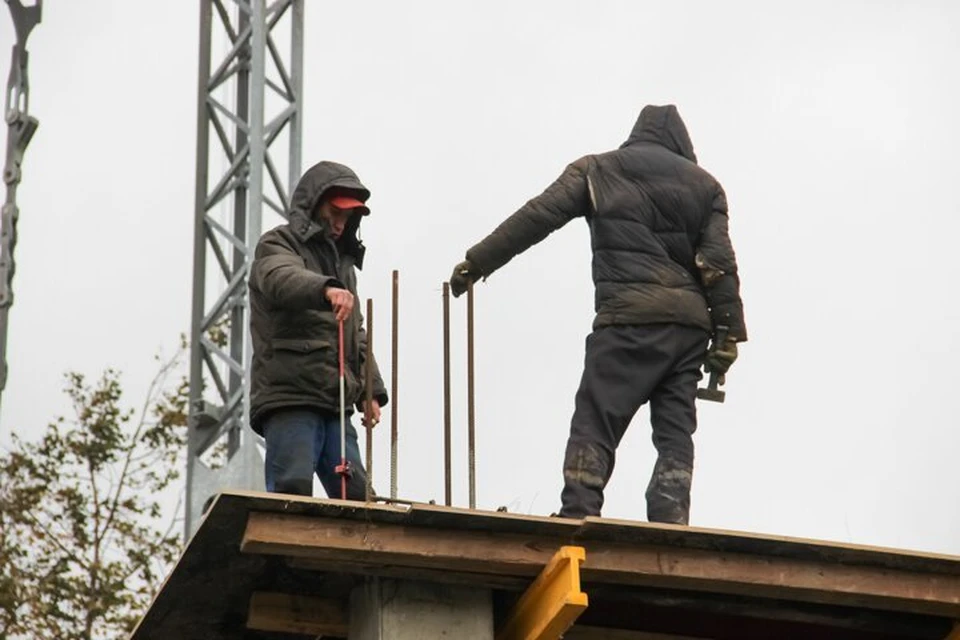 Госстройнадзор ведет постоянный контроль хода работ на всех объектах зоопарка
