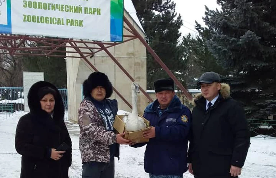Еще одна спасенная душа.