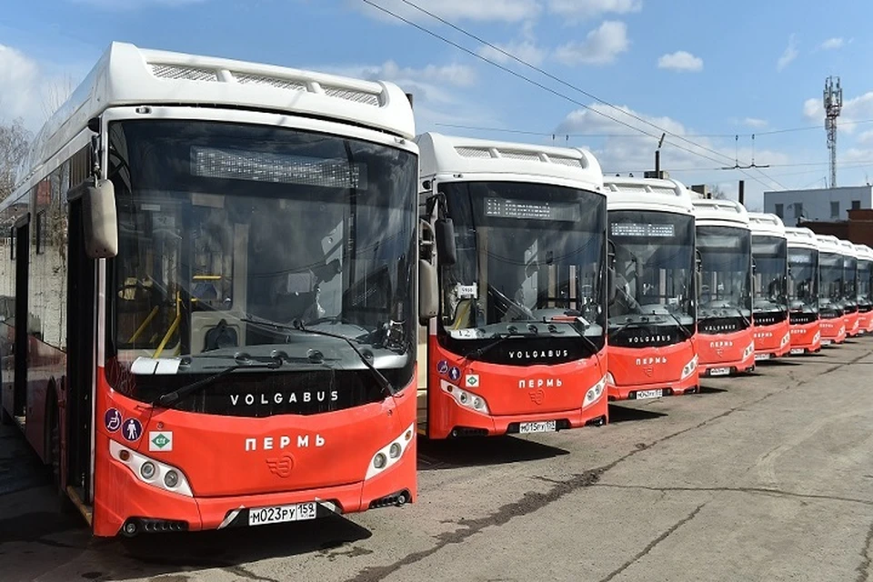 Городской транспорт пермь. Пермский автобус. Гибрид автобуса и трамвая. Трамвай Пермь. Сход трамвая Пермь.